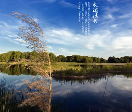 新義水鄉(xiāng)中醫(yī)藥浴康養(yǎng)、黃龍溪古鎮(zhèn)二日游