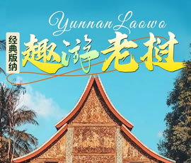 【趣游老撾 · 經(jīng)典版納】—昆明、普洱、西雙版納、磨丁、瑯勃拉邦四動8日游